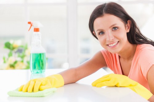 Regular cleaning service for Brixton homes and flats