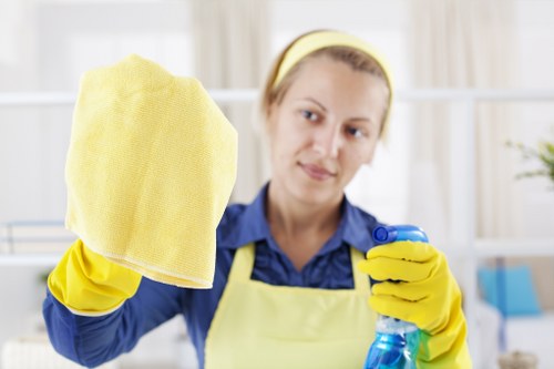 Carpet steam cleaning service for a Brixton flat