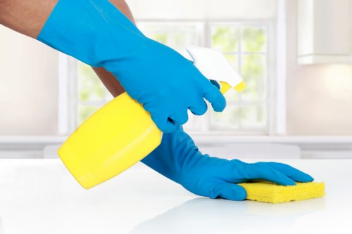 Professional carpet cleaning team in Brixton treating a carpet carefully