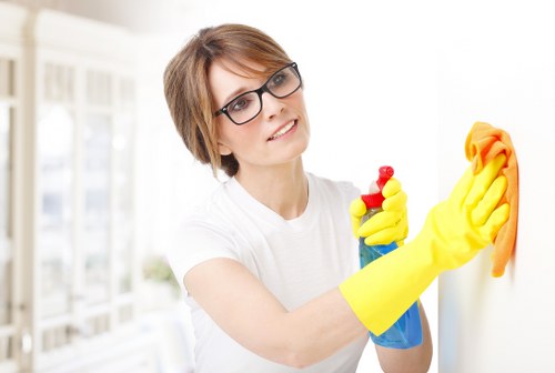 Steam cleaning process applied to a domestic carpet