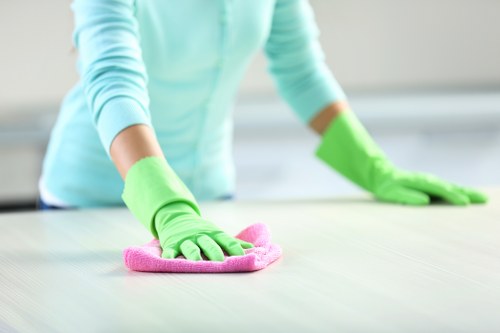 One-off and regular domestic cleaning options for Brixton households