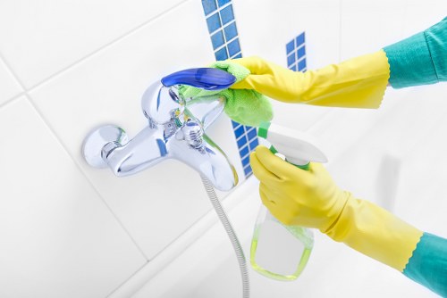 Cleaning products and safety instructions arranged for carpet care tasks